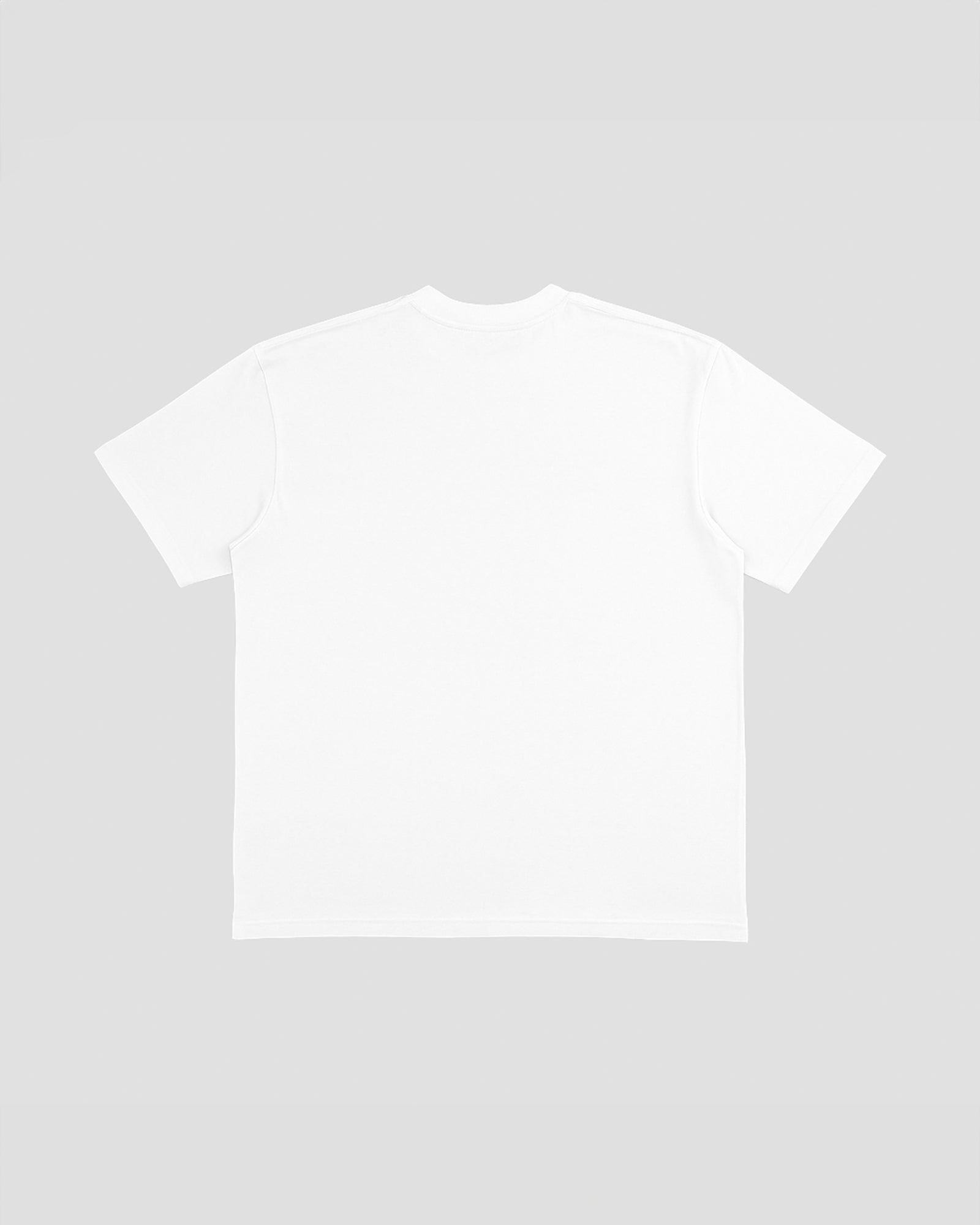 TAKE IT - T-Shirt Oversize (NFC)