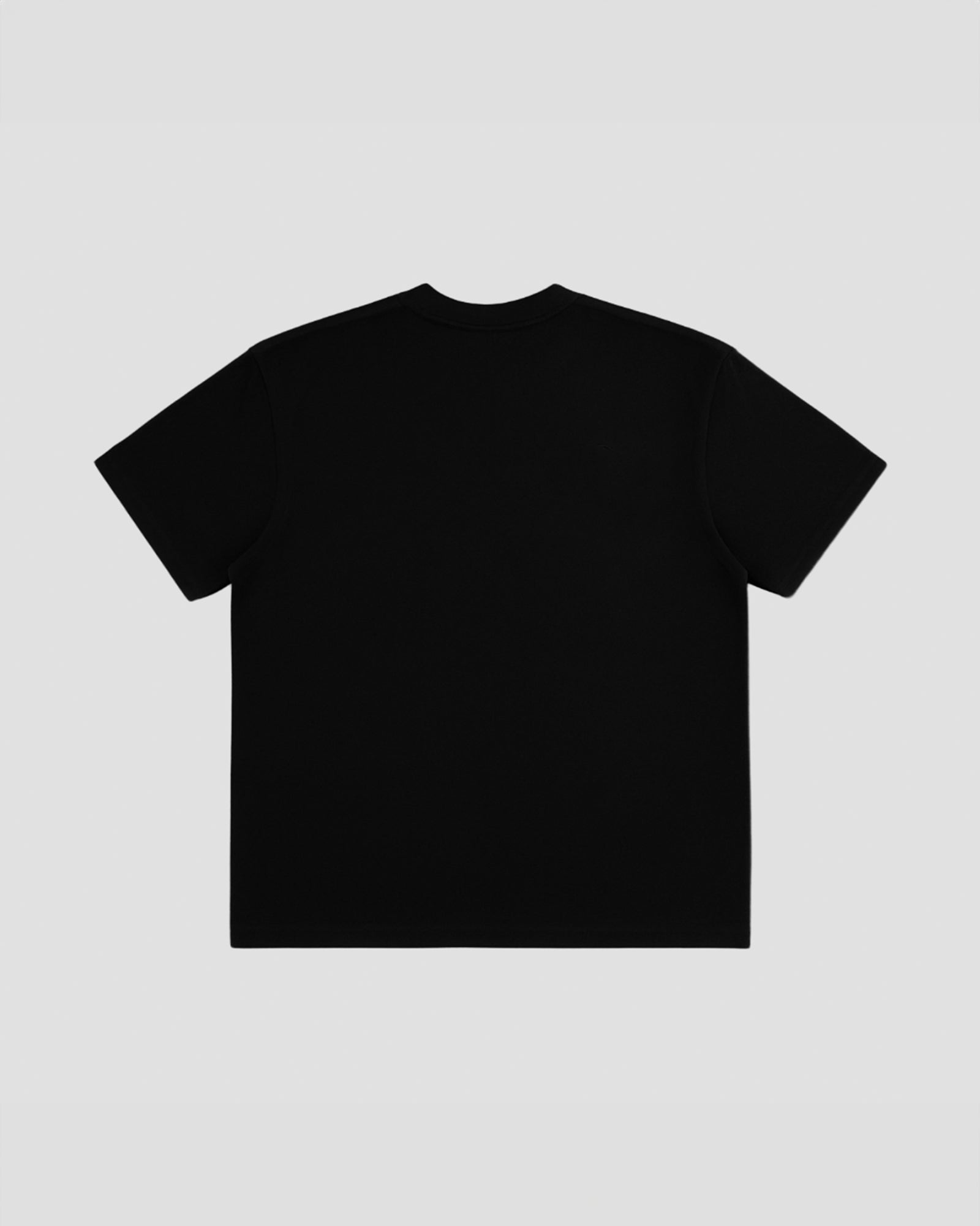 TAKE IT - T-Shirt Oversize (NFC)